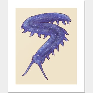 Velvet Worm Posters and Art